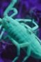 Nonton Film Alien Worlds Season 1 Episode 2 Terbaru Nonton Film Alien Worlds Season 1 Episode 2 Terbaru