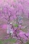 Nonton Film The Legend of the Condor Heroes Season 1 Episode 29 Terbaru Nonton Film The Legend of the Condor Heroes Season 1 Episode 29 Terbaru